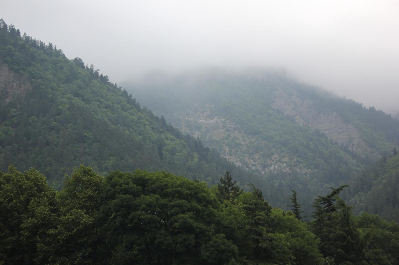 Firuza Hostel Borjomi Luaran gambar